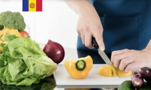 Formació Manipulador d’Aliments (CATALÀ)